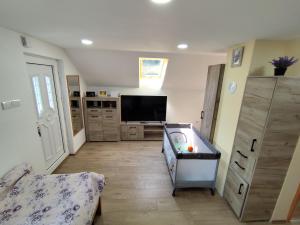 a large living room with a flat screen tv at Apartmani KOSMOS in Rudnik
