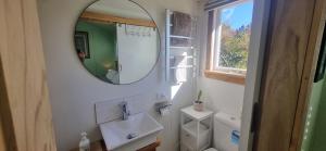a bathroom with a sink and a mirror at Rameka Chalet in Takaka