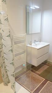a bathroom with a sink and a mirror at Le Perchoir d'Orthez in Orthez