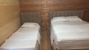 two beds in a room with wooden walls at Drini Guesthouse in Tropojë
