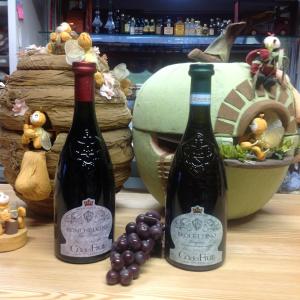 two bottles of wine sitting on a table with grapes at Affittacamere Valle Dorizzo di Scavoni Paolo in Val Dorizzo
