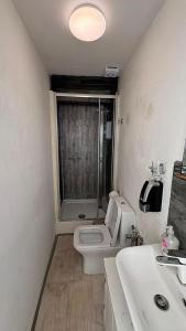 a small bathroom with a toilet and a sink at Singleton Double Studio Room with Private En-Suite in Sketty