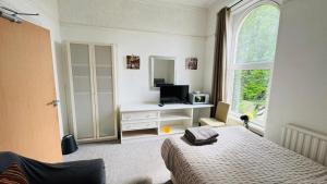 a bedroom with a bed and a television and a window at Singleton Double Studio Room with Private En-Suite in Sketty