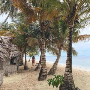 a person is walking on a beach with palm trees at Arriyaladub traditional cabins San blas in Masargantupo