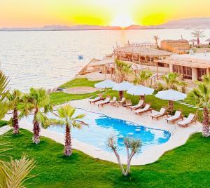 an aerial view of a resort with a pool and palm trees at Breezy island Hotel in Siwa