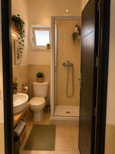 a bathroom with a toilet and a sink and a shower at chic appart vue sur piscine in Tangier