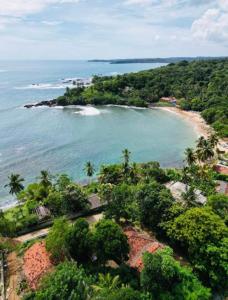an aerial view of a beach with palm trees at D n A secret Palace in Tangalle
