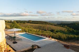 a swimming pool with a view of a vineyard at Eira das Maçãs - Óbidos 
