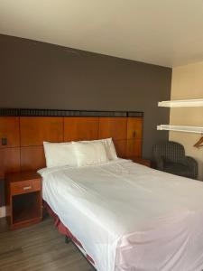 a bedroom with a large white bed and a chair at Monterey Fairgrounds Inn in Monterey