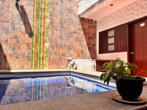a swimming pool in a house with a potted plant at Hostal Casa Lulú Santa Marta in Santa Marta