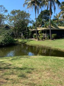 a house with palm trees next to a pond at Hidden Gem at The Bay - Resort Pool - 300m to Beach in Urangan