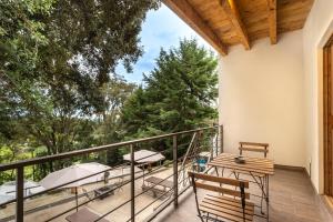 a balcony with chairs and tables and trees at Glamping-Zingo in Santa Ana Jilotzingo