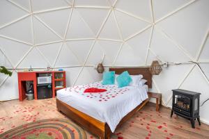 a bedroom with a bed and a stove in a room at Glamping-Zingo in Santa Ana Jilotzingo