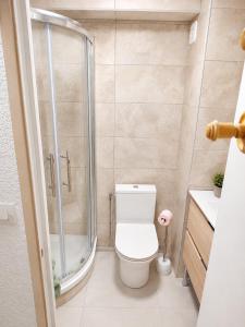 a bathroom with a toilet and a shower at L'HappyMijoux in Mijoux