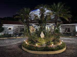 a courtyard with a palm tree in front of a building at Quinta Las Victorias in Valle de Anton