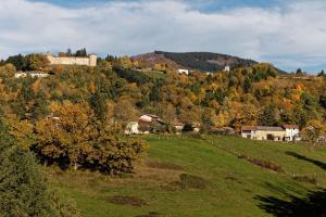 a small town on a hill with trees and houses at La Panoramique des Puys in Vollore-Ville