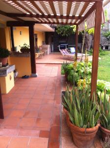 A garden outside East Wind Még 36 kép