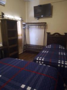 a bedroom with a bed and a tv on the wall at Posada la istmeña in Salina Cruz