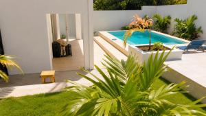 a house with a pool with a chair and plants at Old Harbour Oasis in Old Harbour