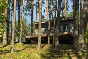 a house in the middle of the trees at Gauja Lakeside in Gauja