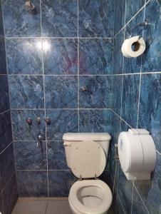 a bathroom with a toilet and a blue tiled wall at Hostal Mechita Mamani in Cafayate +14 photos