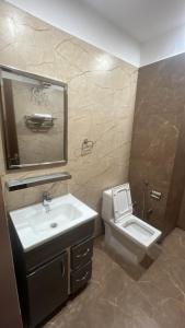 a bathroom with a sink and a toilet and a mirror at Oasis hotels in Hoshiārpur