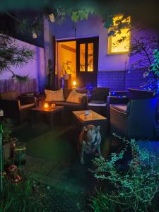 a dog sitting in the middle of a patio at night at Pension Relax in Litoměřice