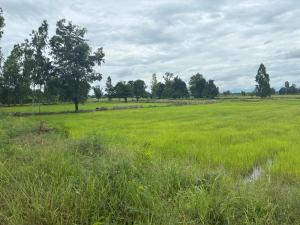 a field of green grass with trees in the background at The Sawmill Lakeside Hut in Ban Nong Sakae