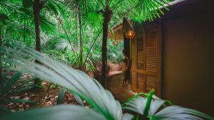 a person walking through an open door into a forest at Cabañas Cascadas Mágicas in San Miguel del Puerto +16 photos