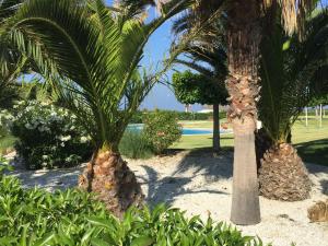 Vonkajšia záhrada v ubytovaní Apartamento VenAVera Playa de Baria 2 K-1D Primera Línea Gran Terraza y WIFI