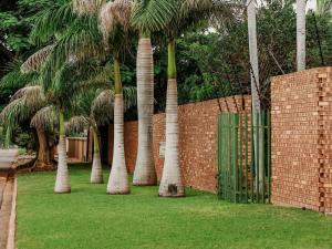 a group of palm trees in front of a brick wall at El Palmar Guesthouse in Groblersdal