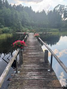 a wooden bridge over a lake with flowers on it at Almplatz mit Weitblick in Langschlag
