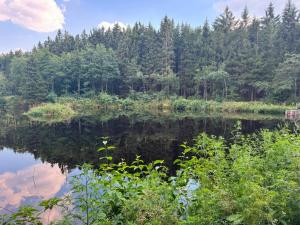 a view of a lake with trees in the background at Almplatz mit Weitblick in Langschlag +50 photos