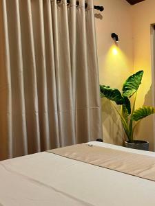 a bedroom with a bed with a curtain and a plant at Rasa Homestay in Dickwella