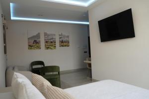 a bedroom with a bed and a television on a wall at HOTEL DON RAMIRO in Montilla