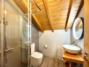 a bathroom with a toilet and a sink and a shower at Chalet Villas Gerês in Geres +61 photos