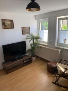 a living room with a large flat screen tv at Ferienwohnung Geiseltalsee Frankleben in Frankleben