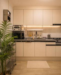 a kitchen with white cabinets and a potted plant at 수지의 하우스 in Cheonan