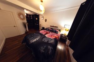 a bedroom with a large bed in a room at Studio Cinéma -Hypercentre- Spacieux, calme et connecté in Auxerre