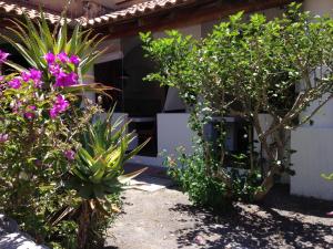 a garden in front of a house with purple flowers at JERA Holiday Collection VULCANO UNO - Garden View in Vulcano