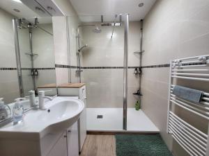 a bathroom with a sink and a shower at L'Hirondelle in Fourges +7 photos