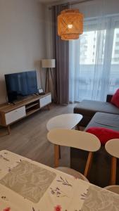 a living room with a couch and a tv at Apartamenty Września in Września