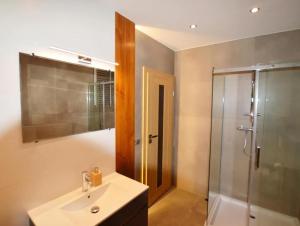 a bathroom with a sink and a shower at Ewilla- apartamenty Wojcieszyce in Wojcieszyce +20 photos