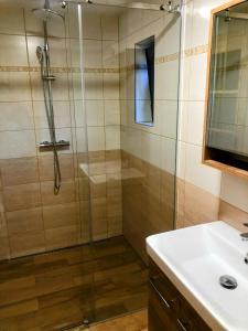 a shower with a glass door next to a sink at Apartmán Albrechtice 97 in Albrechtice v Jizerských horách