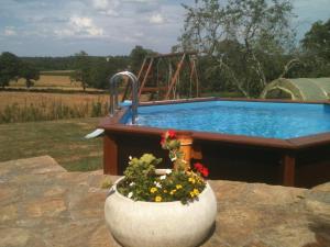 a pool with a flower pot in front of it at Mounismes du bas in Saint-Ouen-sur-Gartempe
