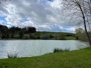 a view of a large lake with trees and grass at Chez Merlin le brocanteur in Charny
