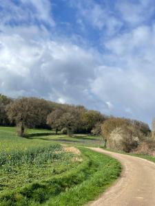 a dirt road next to a field with trees at Chez Merlin le brocanteur in Charny