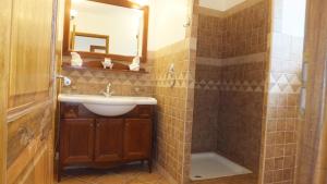 ein Bad mit einem Waschbecken und einer Dusche in der Unterkunft Les chambres de l'Hôte Antique in Porto-Vecchio