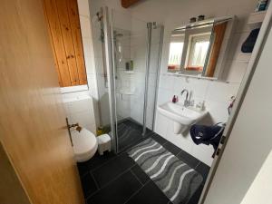 a bathroom with a shower and a toilet and a sink at Haus Tillmann mit Hund in Hooksiel in Wangerland +10 photos