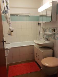 Koupelna v ubytování Ferienwohnung Pichlarn + 37 fotografií